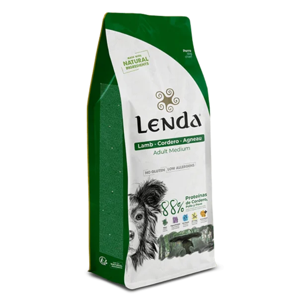 Lenda Adulto Cordero